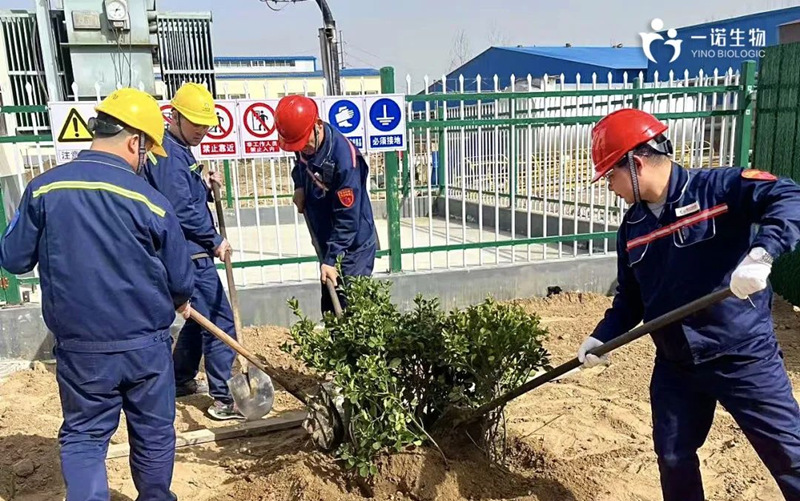 共植綠色未來,化工企業(yè)植樹活動(dòng),環(huán)保,綠色工廠